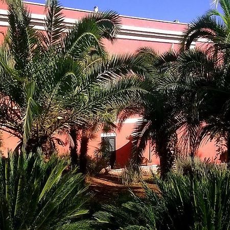 B&B Ippocastano Casarano Ngoại thất bức ảnh